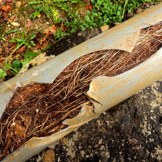 Same Day Drain Sewer & Rooter Pros Across Deerfield